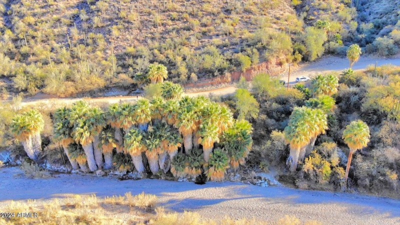 jl bar alkali spring