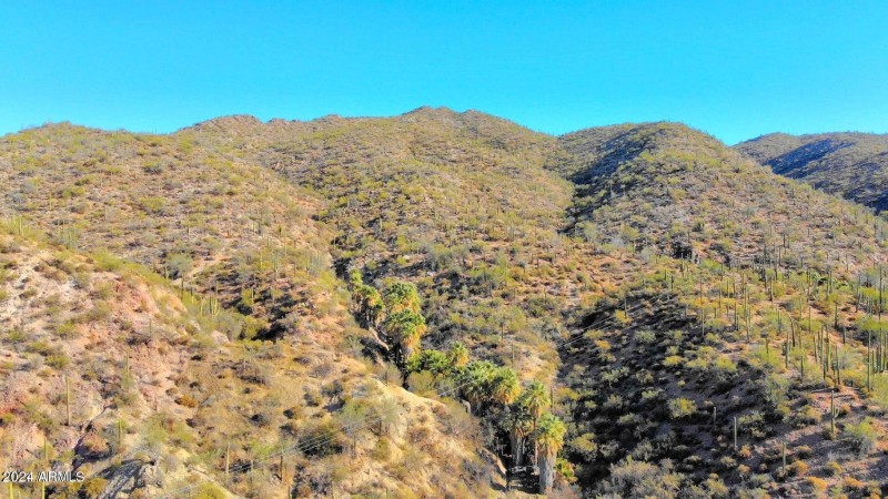 jl bar palm lined canyon2