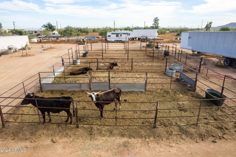 Stock Corral View 5