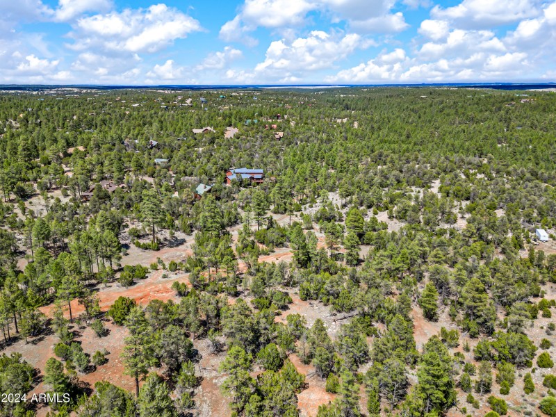 13-BootleggerABC-ocupix