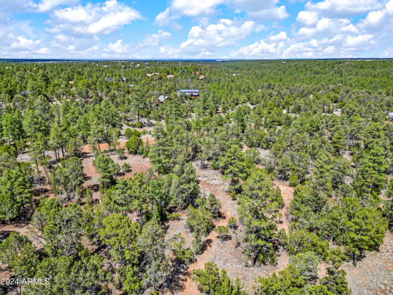 15-BootleggerABC-ocupix