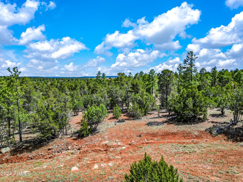 17-BootleggerABC-ocupix