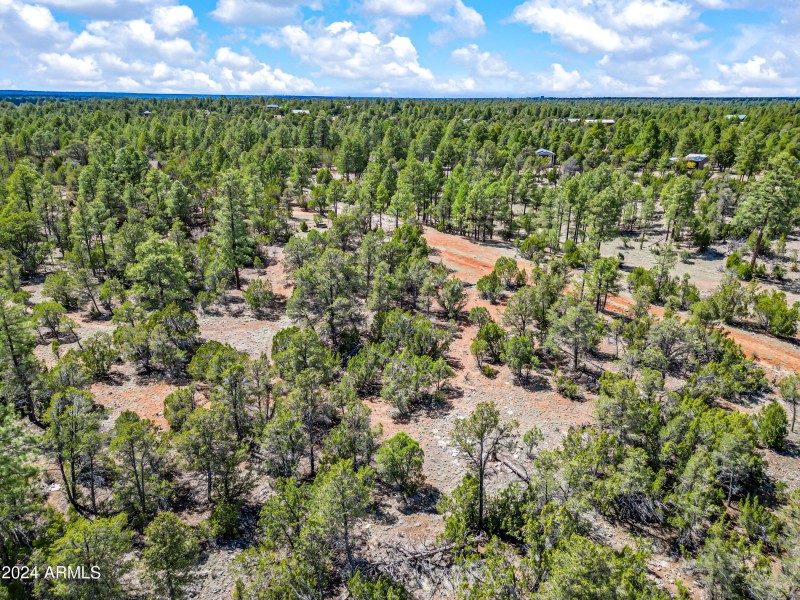 16-BootleggerABC-ocupix