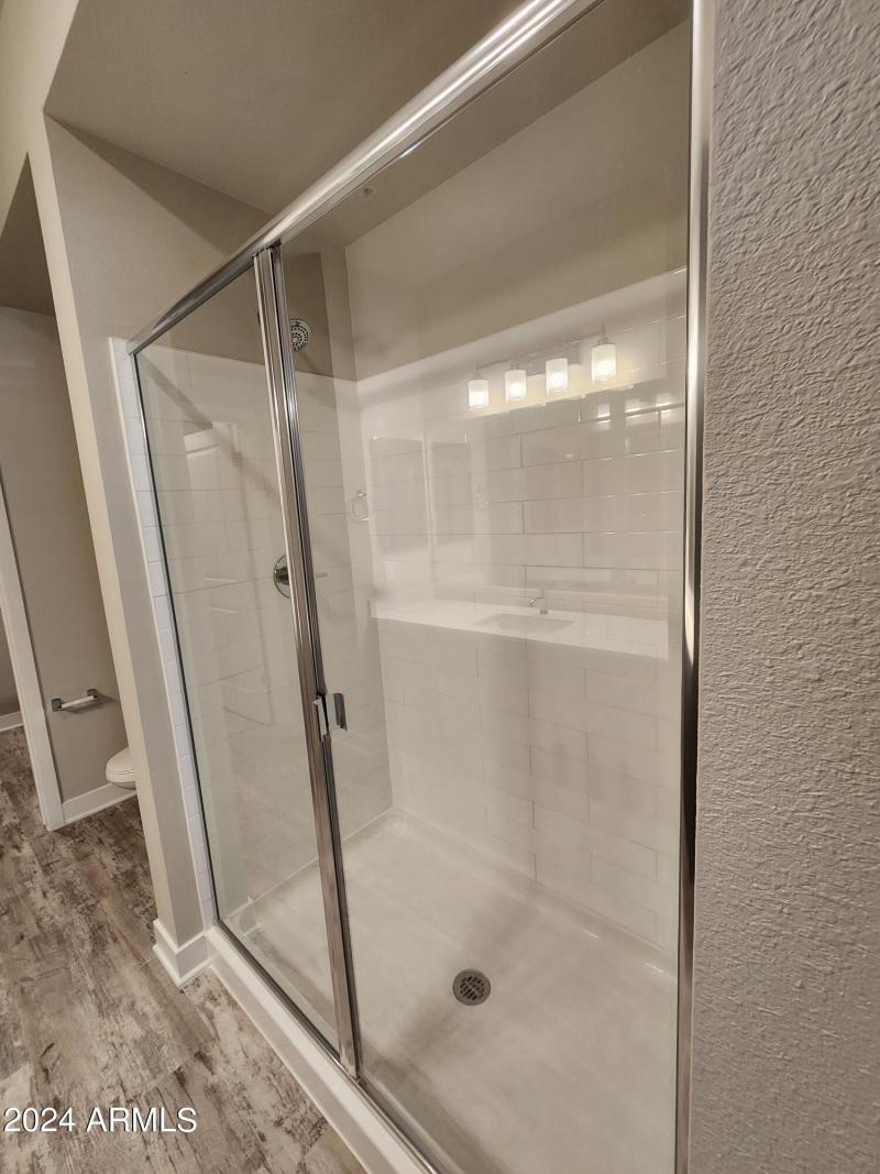 Master Walk-In Shower