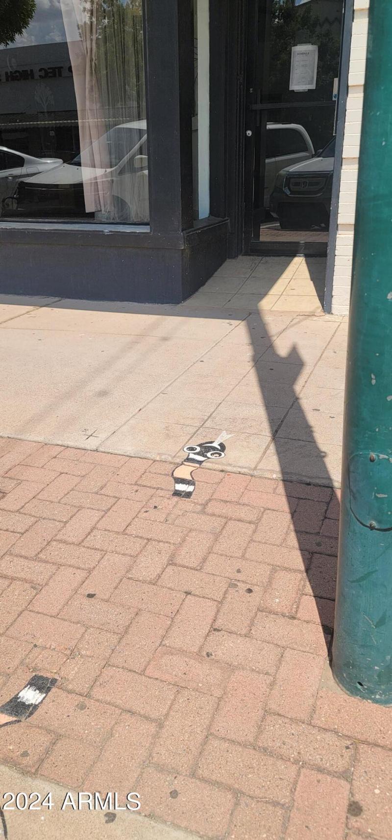 1113 G Ave sidewalk snake