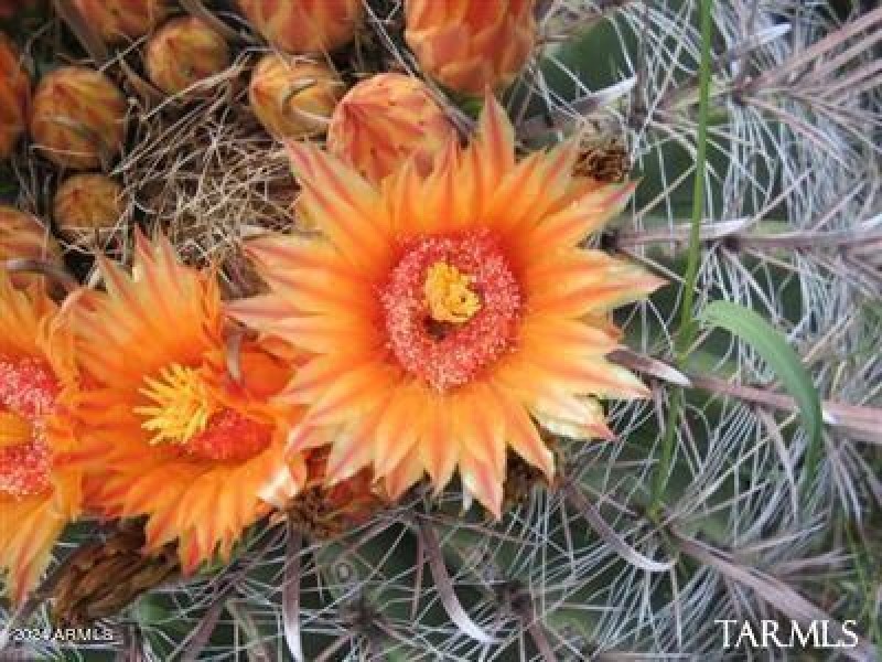 20200605143507763935000000-o