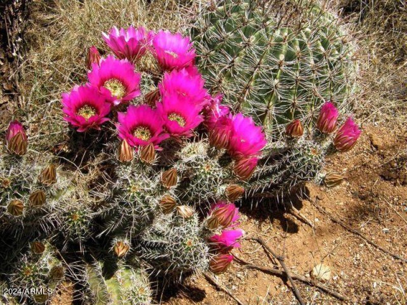 20210116192424929591000000-o