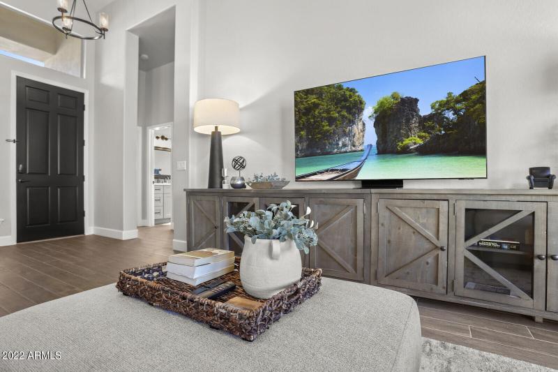 Large flat screen TV