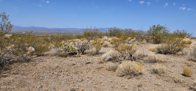 Looking West from SE corner