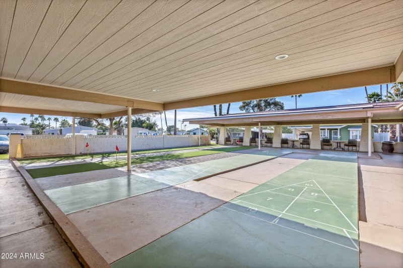 Shuffleboard