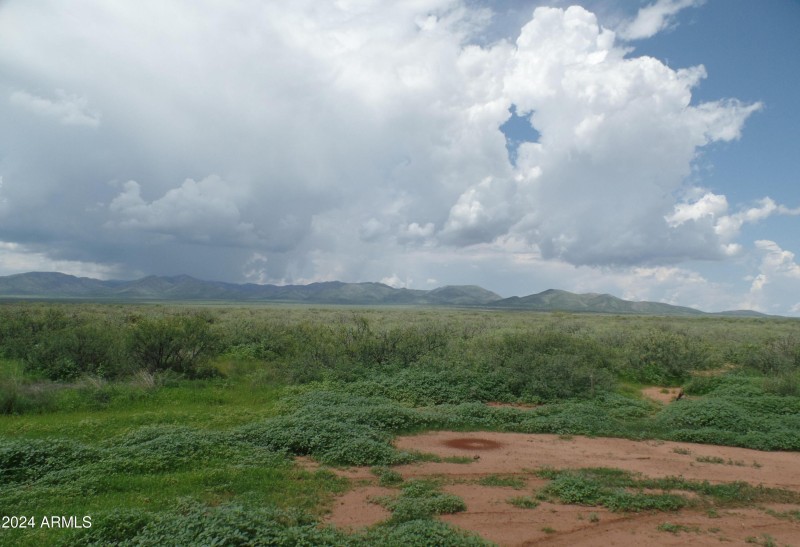 8980 N Robbers Roost RD