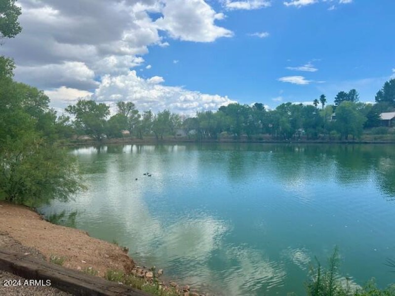 Neighborhood Duck Pond