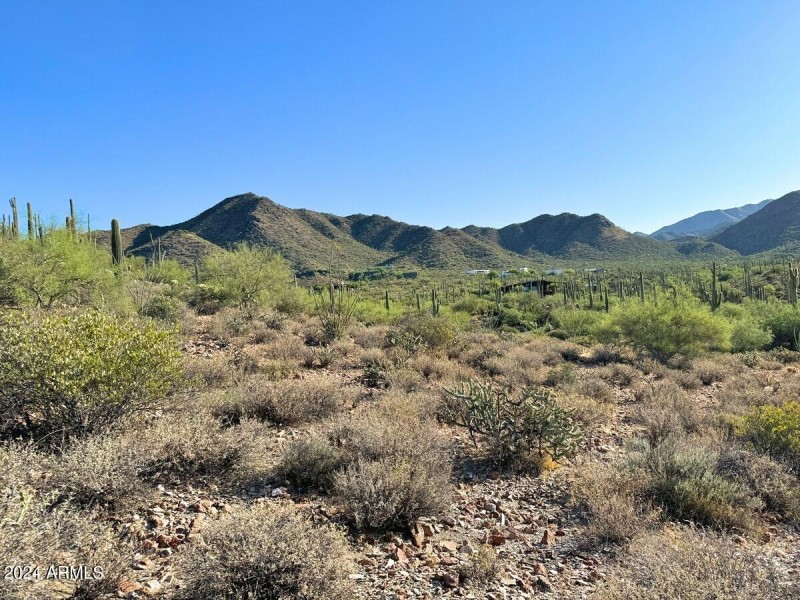 Sonoran Desert Living