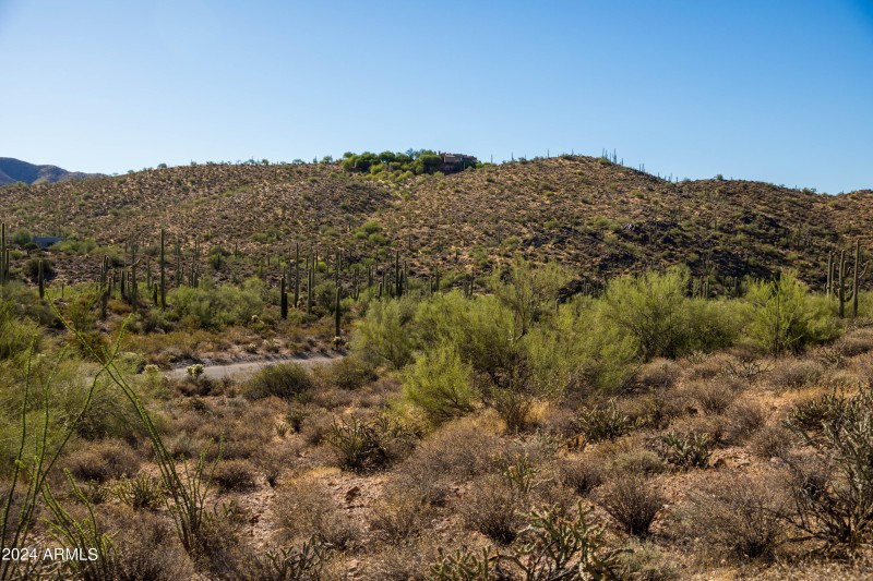 Natural Desert Landscape