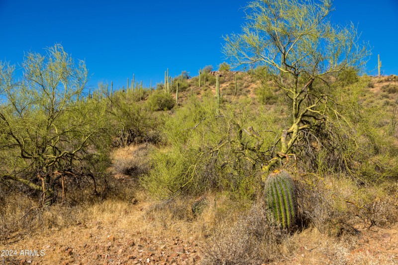 Beautiful Natural Desert