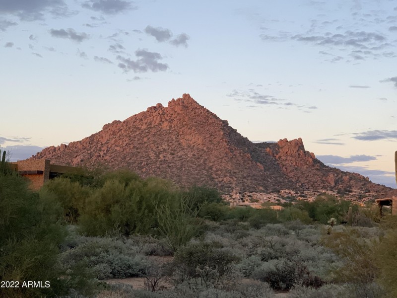 10580 purple troon 3