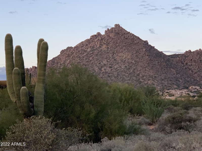 10580 sunset troon purple