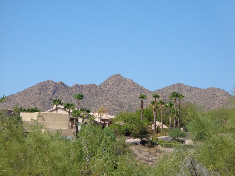 McDowell Mountains