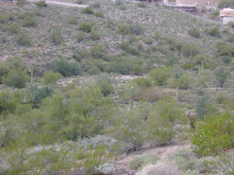 Wash back of lot (2)