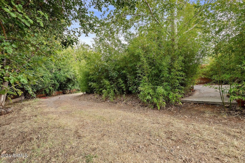 Greenery