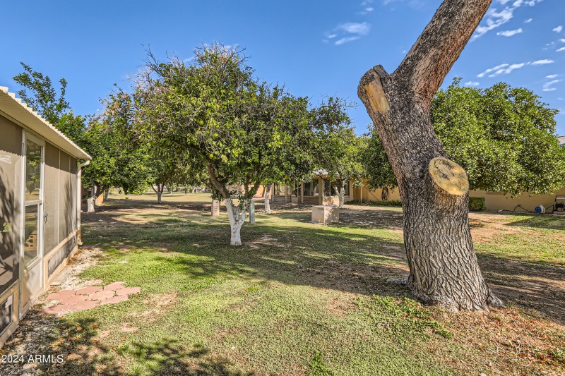 13605 N Redwood Dr - Print Quality - 028