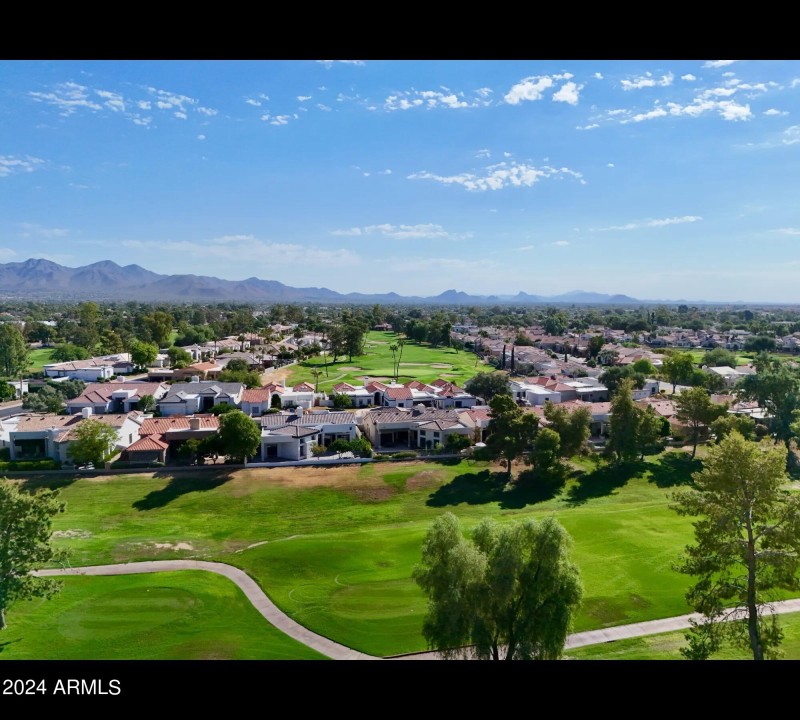 McDowell Mountain Backdrop