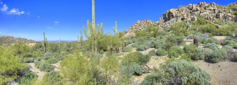 008_Mountain And Cactus Views
