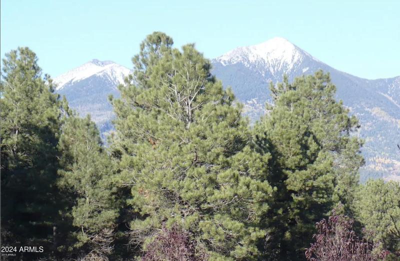 San Francisco Peaks
