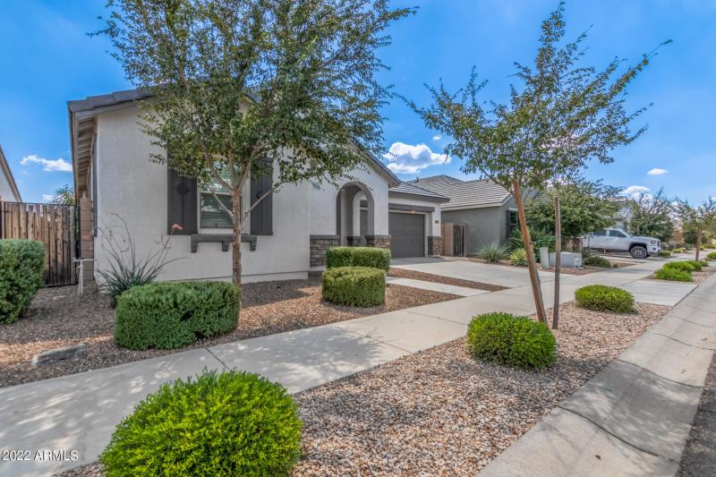 01 - Calle de Flores