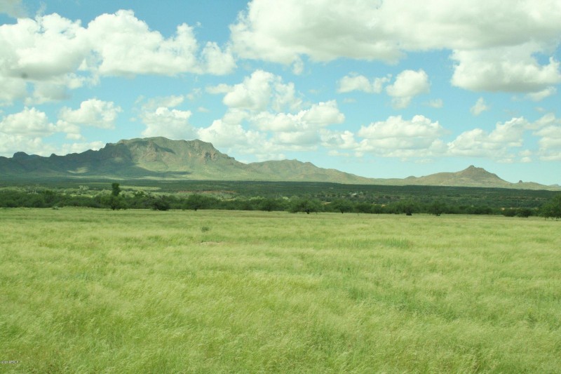 Montosa Tumacacori's 5661