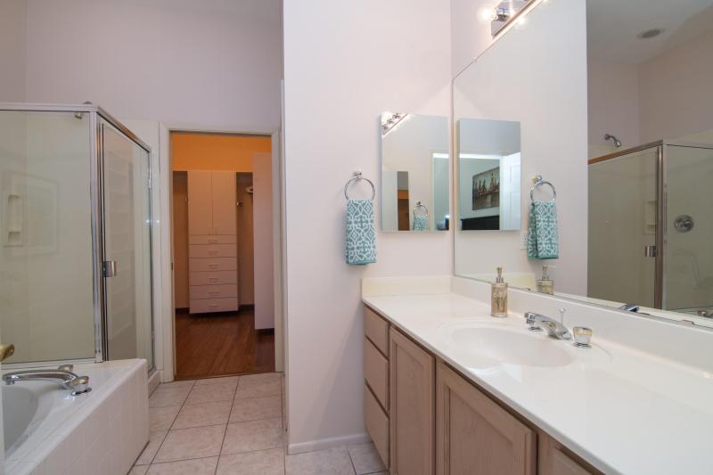 Masterbath Shower and Tub