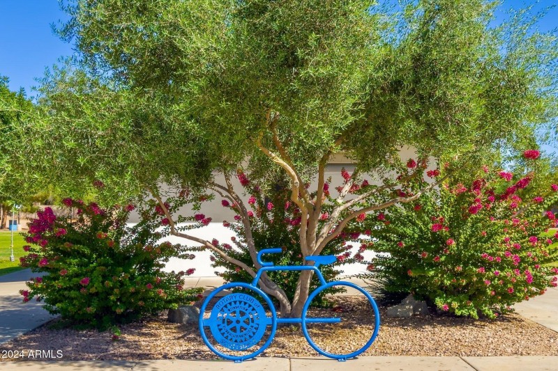 Walking & Bike Paths