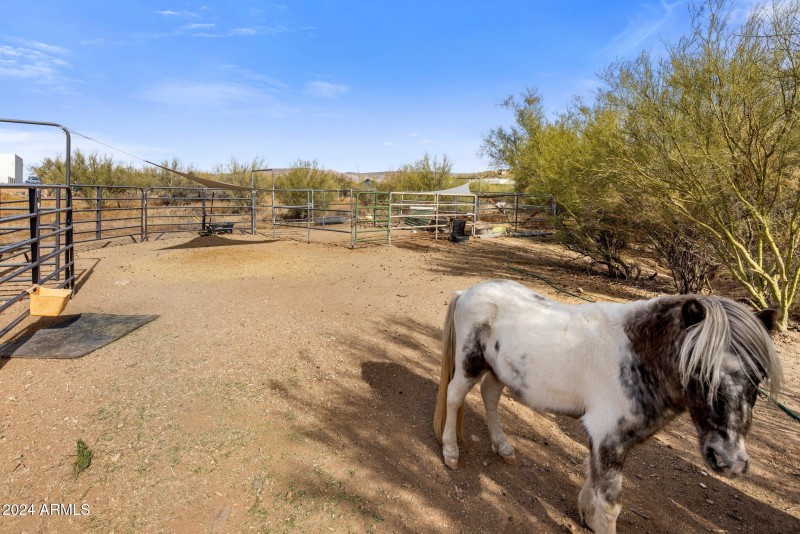 Gated Livestock Area with Shade