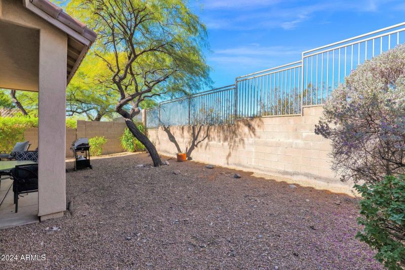 24-web-or-mls-P1048687