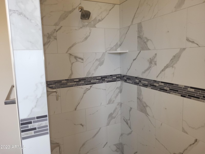 Master shower view 2