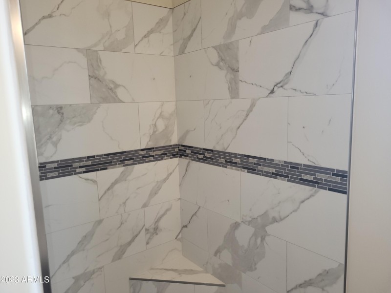 Master shower view 3