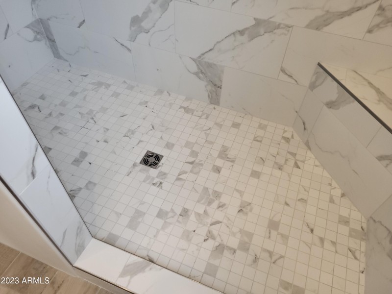 Master shower view 4