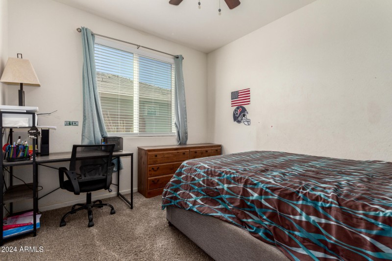 26 - Mariposa Grande