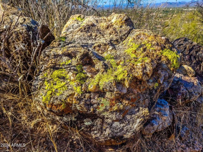 splash of lichen on the rocks