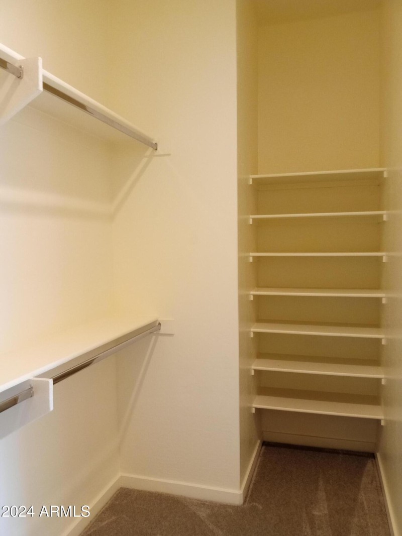Primary Walk-in Closet with Shelving
