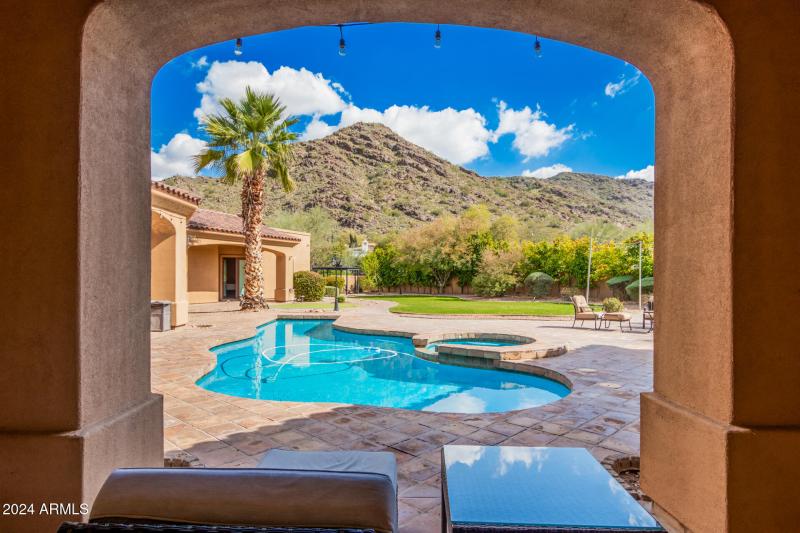 80 - Royal Palm 5339