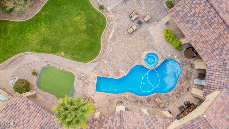 111 - Royal Palm 5339