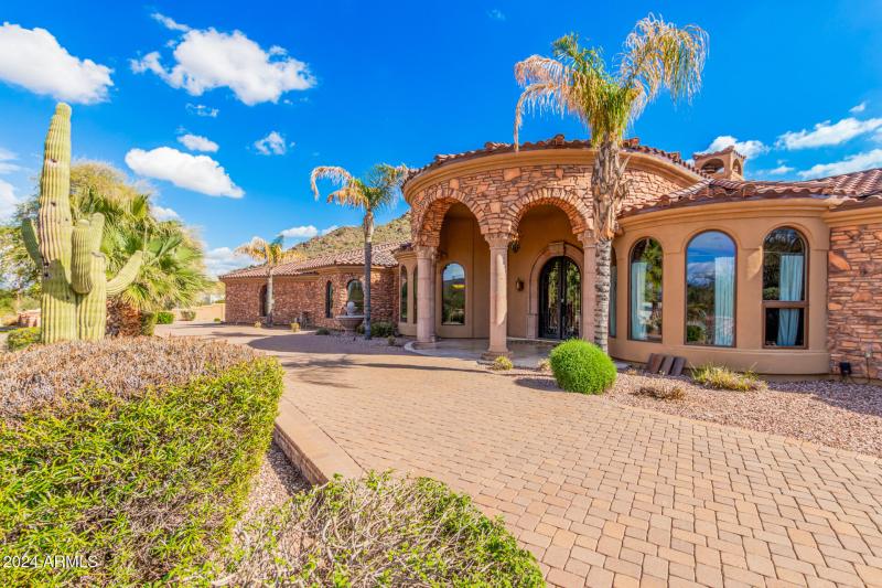 05 - Royal Palm 5339