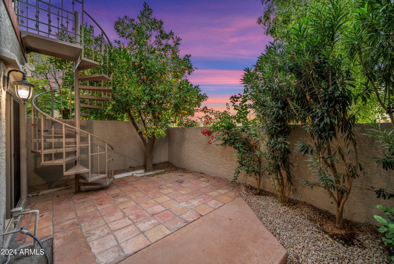 Primary Patio with Orang Tree