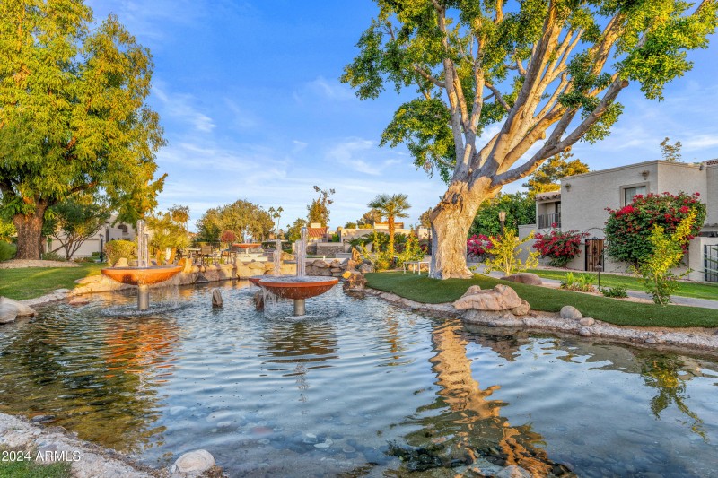 Water Feature and Tree