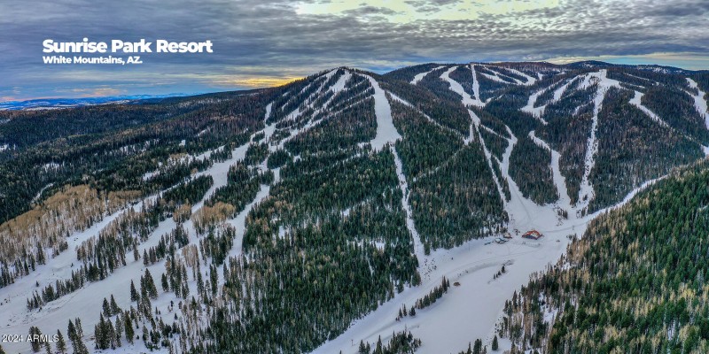 photo (53) 4705 Mountain Hollow 121924