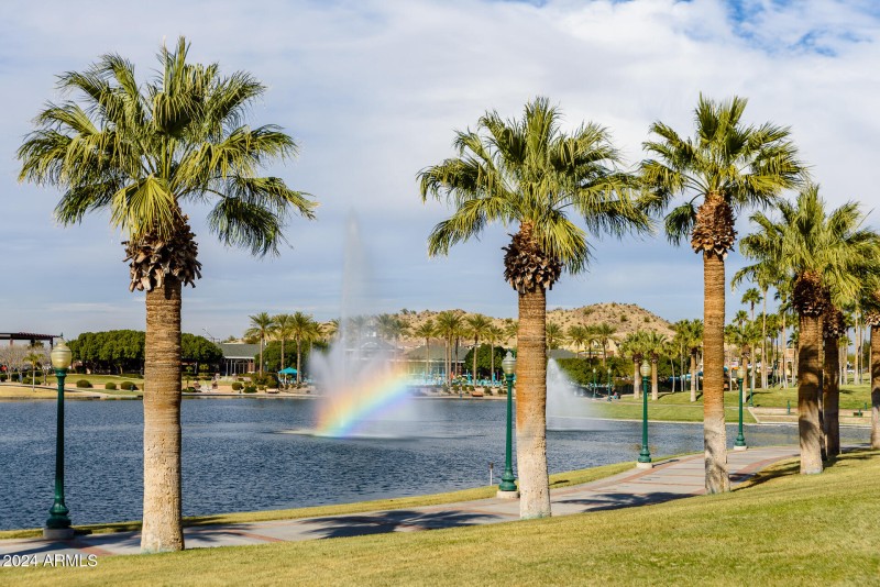 Catch a Fascinating Rainbow!