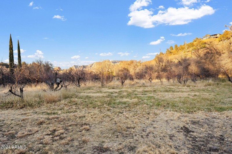 68-web-or-mls-A7S03601