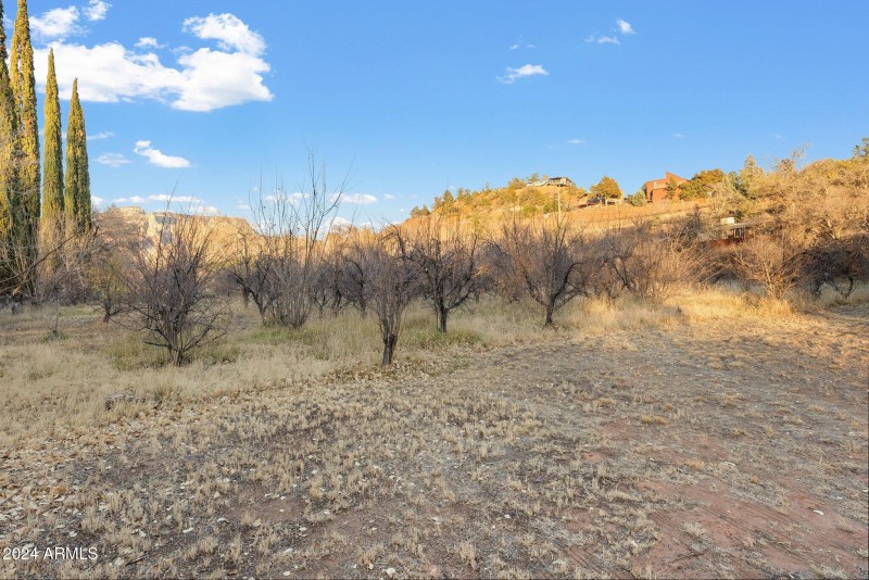 75-web-or-mls-A7S03636