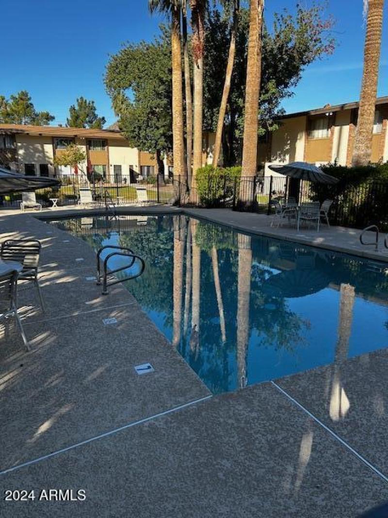 Comm. Pool East (looking West)